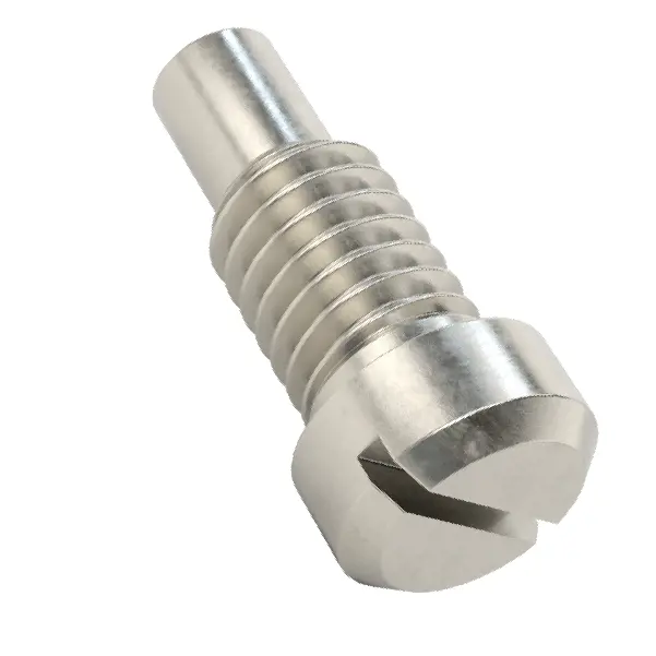 پیچ سر پنیری شیاردار فولاد ضدزنگ 18-8/نوک بلند، سایز رزوه M4 x 0.7 میلی‌متر، طول 6 میلی‌متر